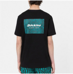Camiseta Dickies: Leesburg Box Tee SS (Black)