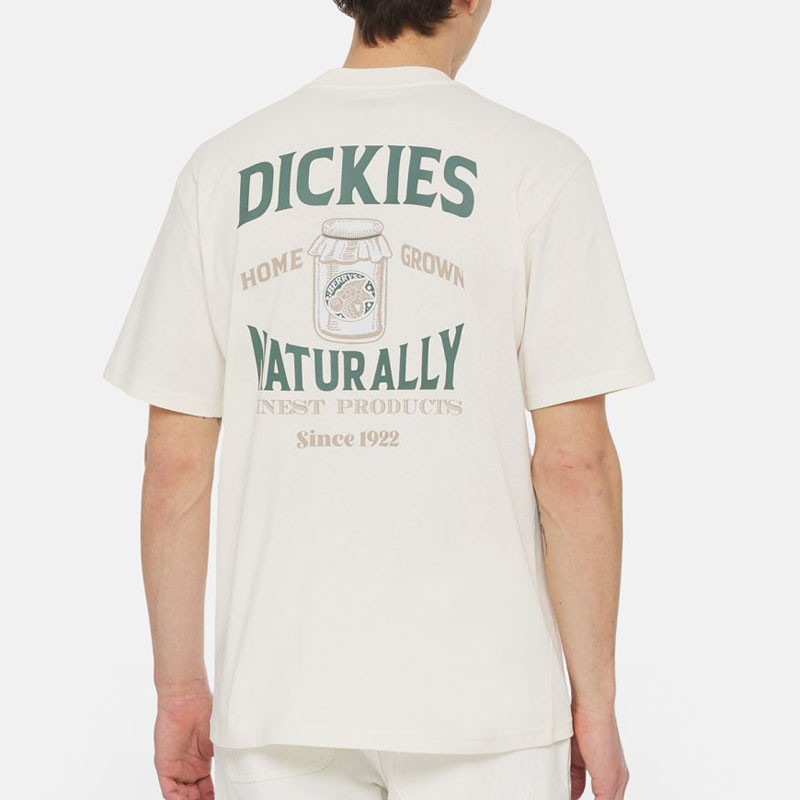 Camiseta Dickies: Elliston Tee SS (Cloud)