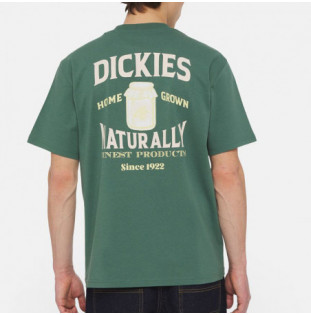 Camiseta Dickies: Elliston Tee SS (Dark Forest)