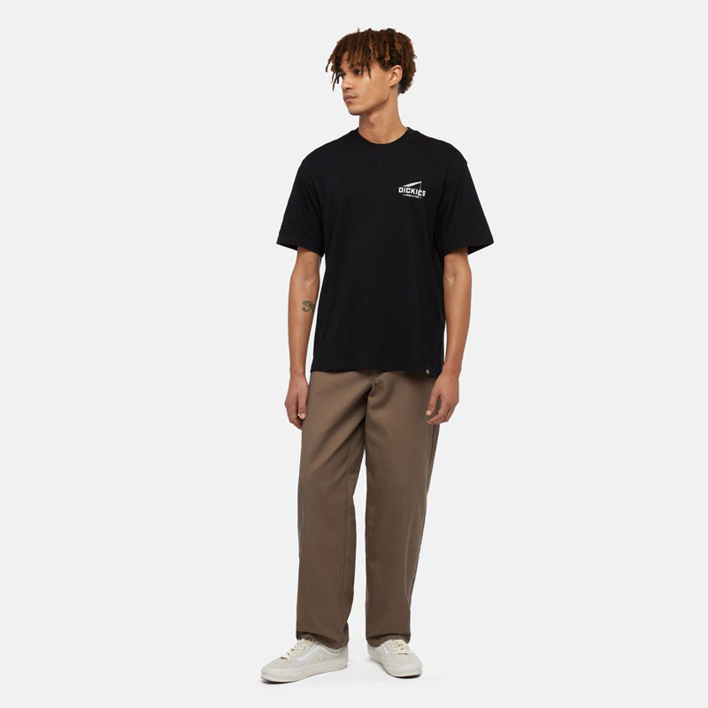 Camiseta Dickies: Dickies Industrial Zone Tee SS (Black)