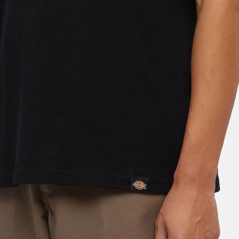 Camiseta Dickies: Dickies Industrial Zone Tee SS (Black)