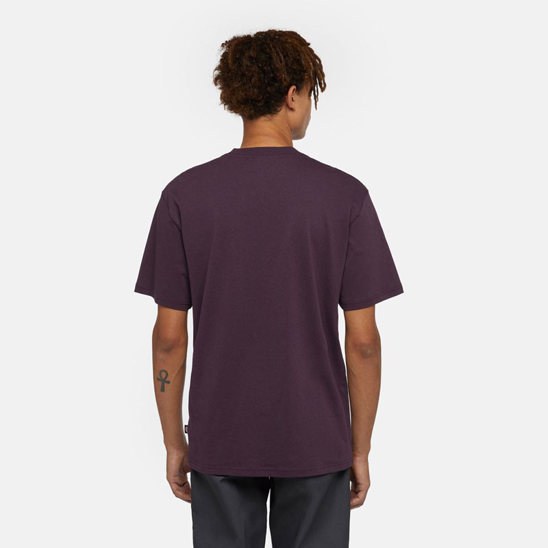 Camiseta Dickies: Summerdale SS Tee (Plum Perfect)