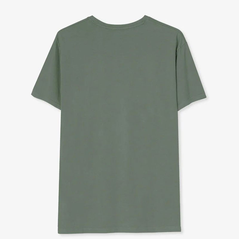 Camiseta Kaotiko: Swans SS Washed (Green)