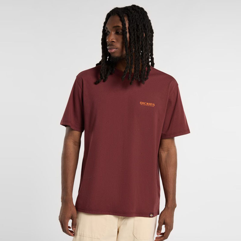 Camiseta Dickies: Burns Tee SS (Andorra)