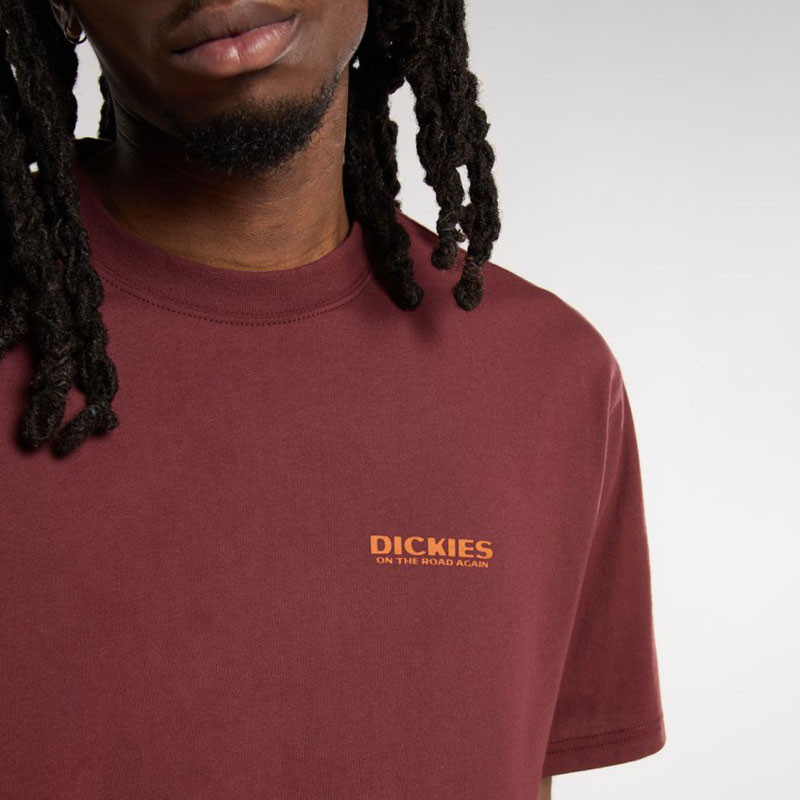 Camiseta Dickies: Burns Tee SS (Andorra)