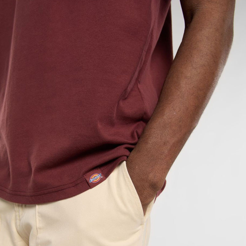 Camiseta Dickies: Burns Tee SS (Andorra)