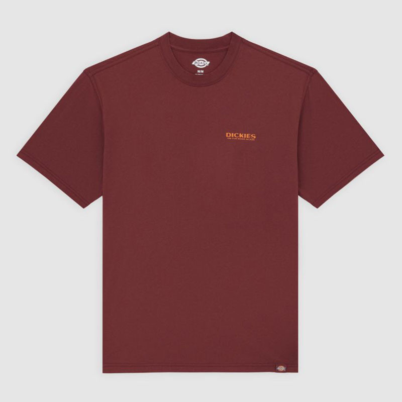 Camiseta Dickies: Burns Tee SS (Andorra)