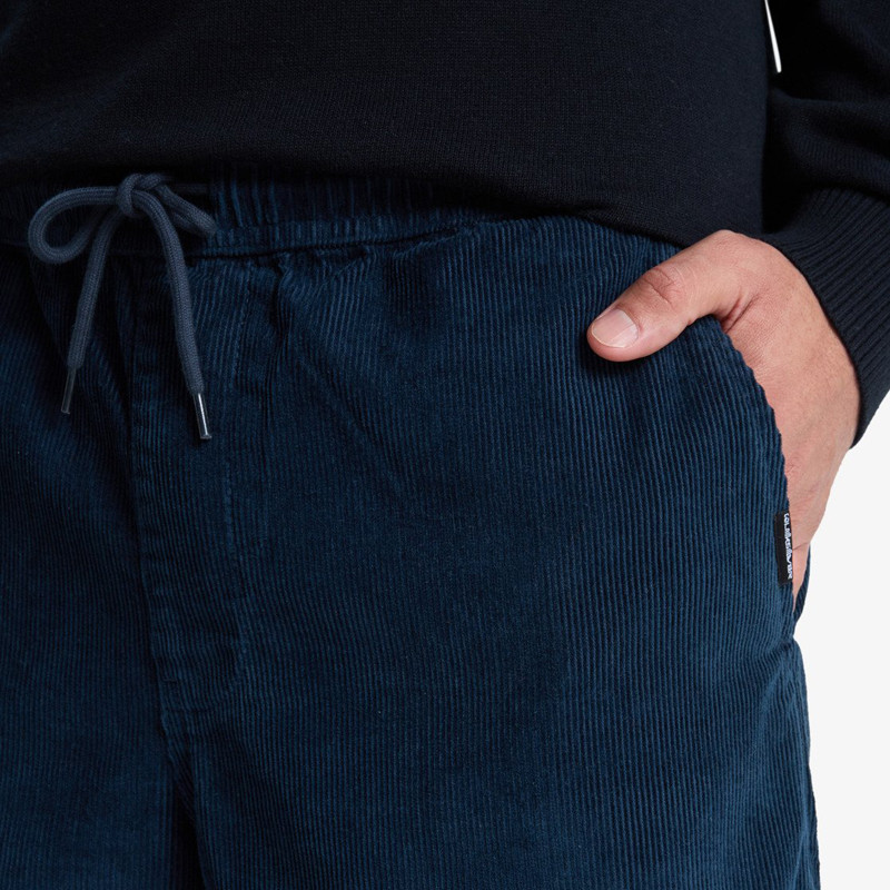 Pantalón Quiksilver: Taxer Cord Pnt (Dark Navy)