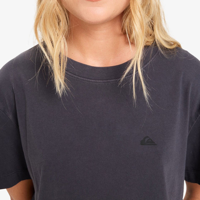 Camiseta Quiksilver: Essential SS Tee (Tarmac)