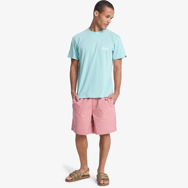 Bermuda Quiksilver: Taxer Ws 19 (Desert Sand)