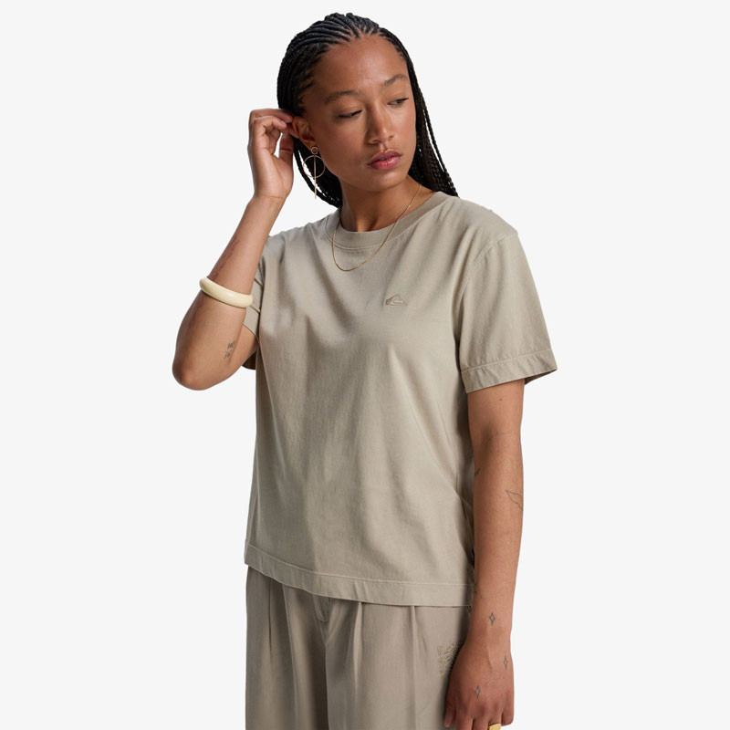 Camiseta Quiksilver: Essential SS Tee (Seneca Rock)