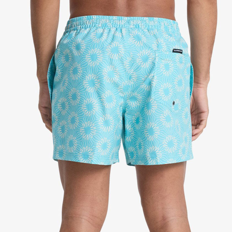 Bañador Quiksilver: Everyday Printed Volley 15 (Aqua Ocean My)