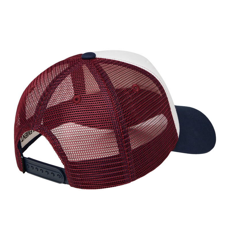 Gorra Element: Icon Mesh Cap (Vintage Red)
