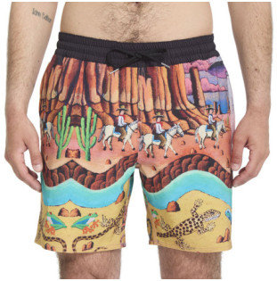 Bañador Volcom: Fa Mickey Mason Trunk 17 (Multi)