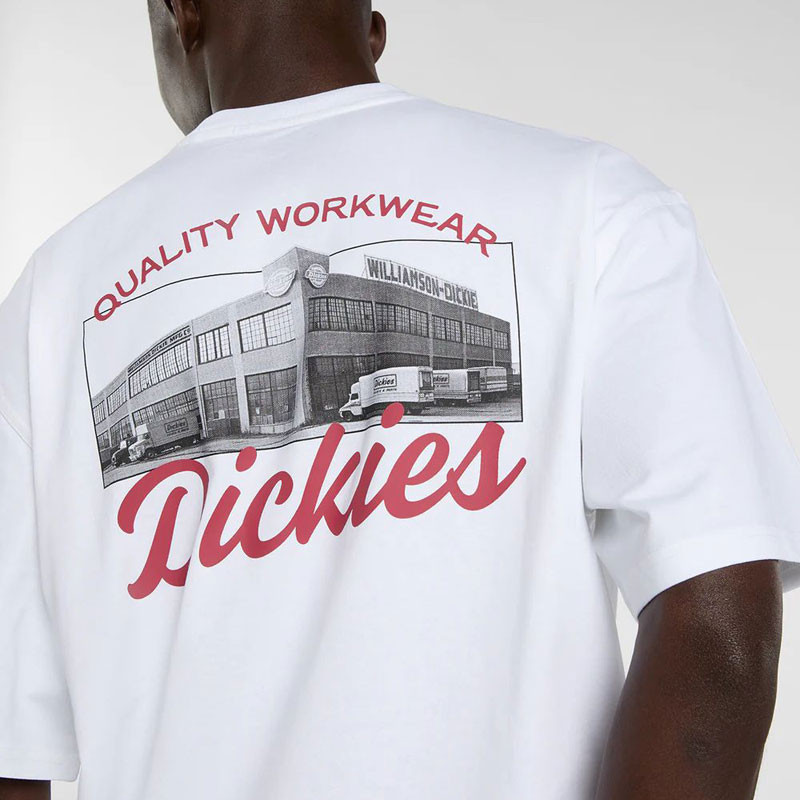 Camiseta Dickies: Wellsville SS Tee (White)