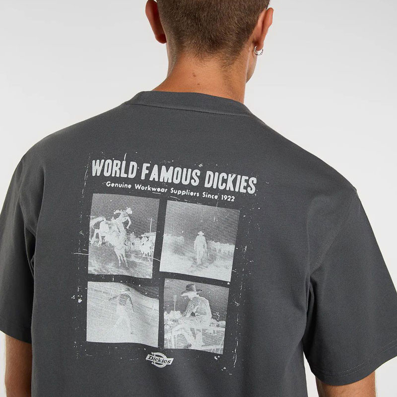 Camiseta Dickies: Wolfhurst SS Tee (Charcoal Grey)