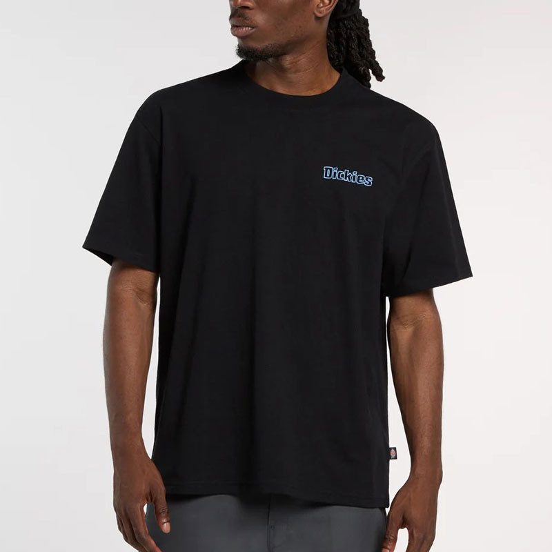 Camiseta Dickies: Fairlawn SS Tee (Black)