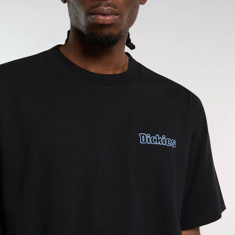 Camiseta Dickies: Fairlawn SS Tee (Black)
