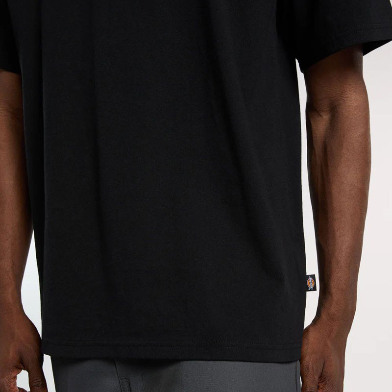 Camiseta Dickies: Fairlawn SS Tee (Black)