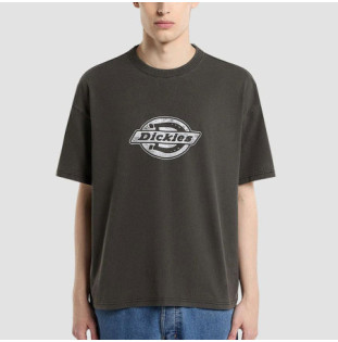 Camiseta Dickies: Plainville SS Tee (Black)