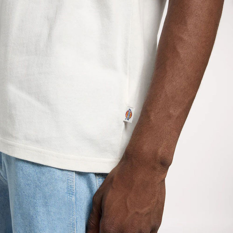 Camiseta Dickies: Dry Ridge SS Tee (Egret)