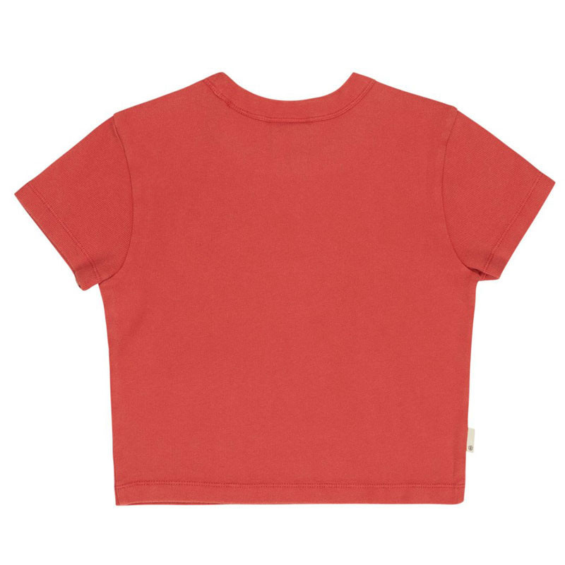 Camiseta Element: Lowcase Crop Ss (Cardinal)