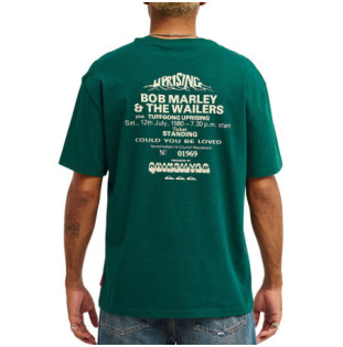 Camiseta Quiksilver: Bob Marley Concert SS (Botanical Garden)