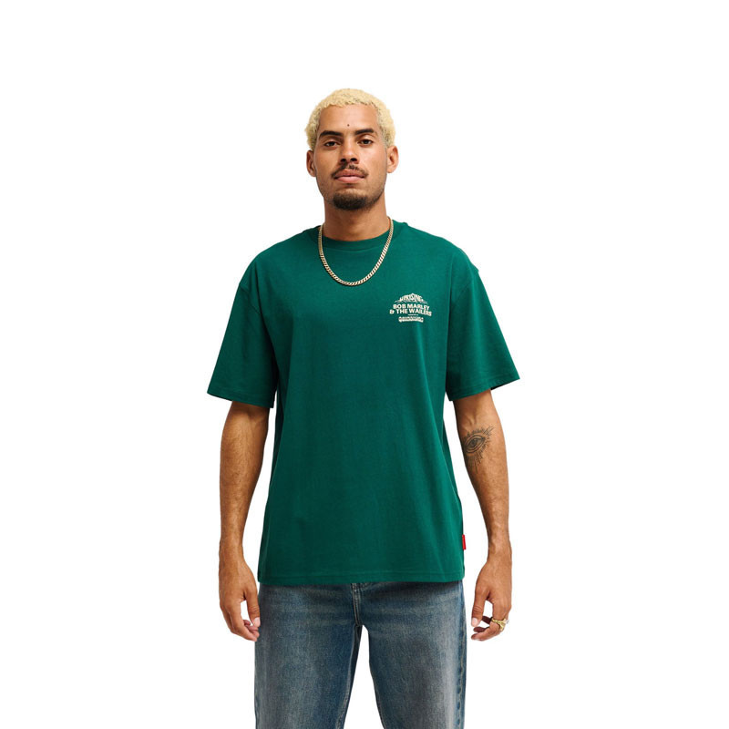 Camiseta Quiksilver: Bob Marley Concert SS (Botanical Garden)