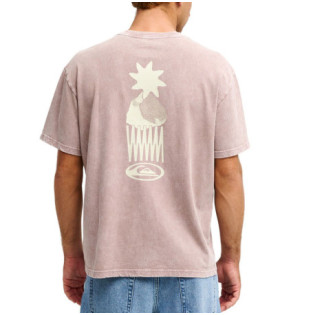 Camiseta Quiksilver: Balance SS (Pine Bark)