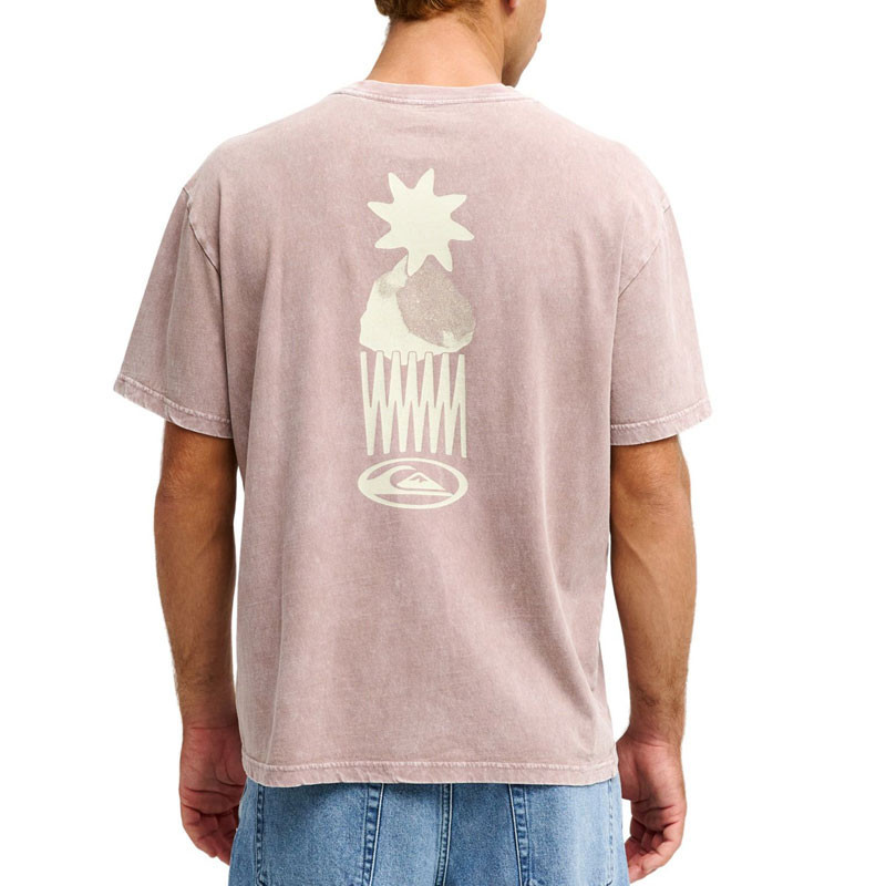 Camiseta Quiksilver: Balance SS (Pine Bark)