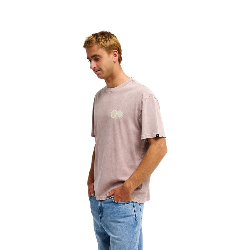 Camiseta Quiksilver: Balance SS (Pine Bark)