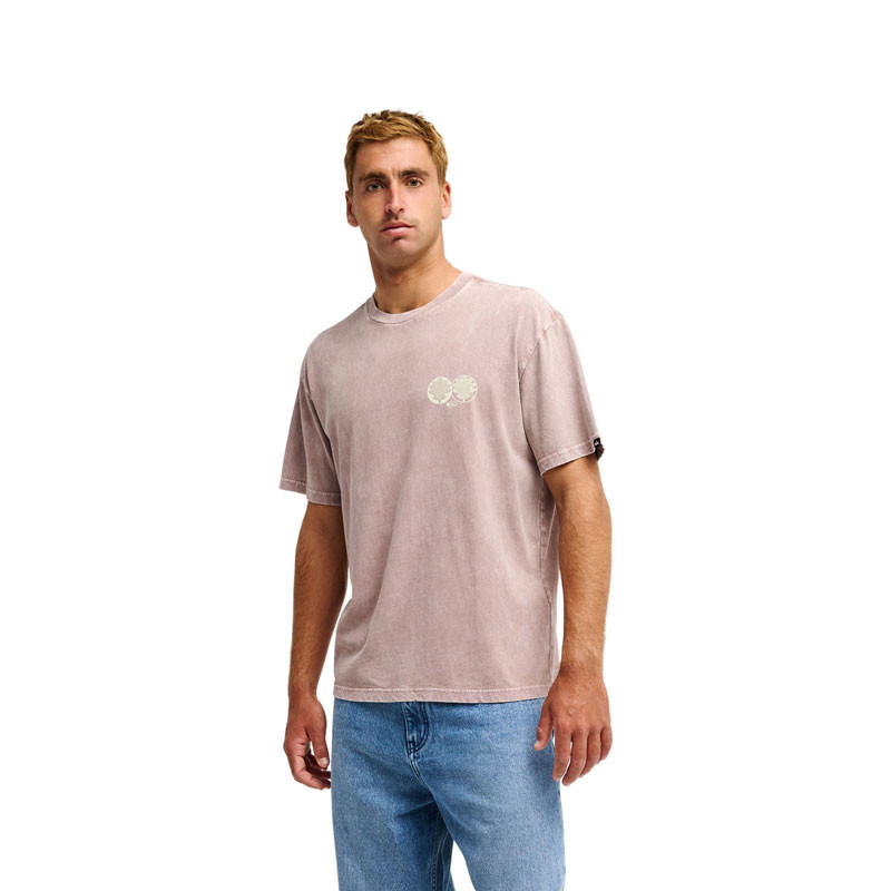Camiseta Quiksilver: Balance SS (Pine Bark)