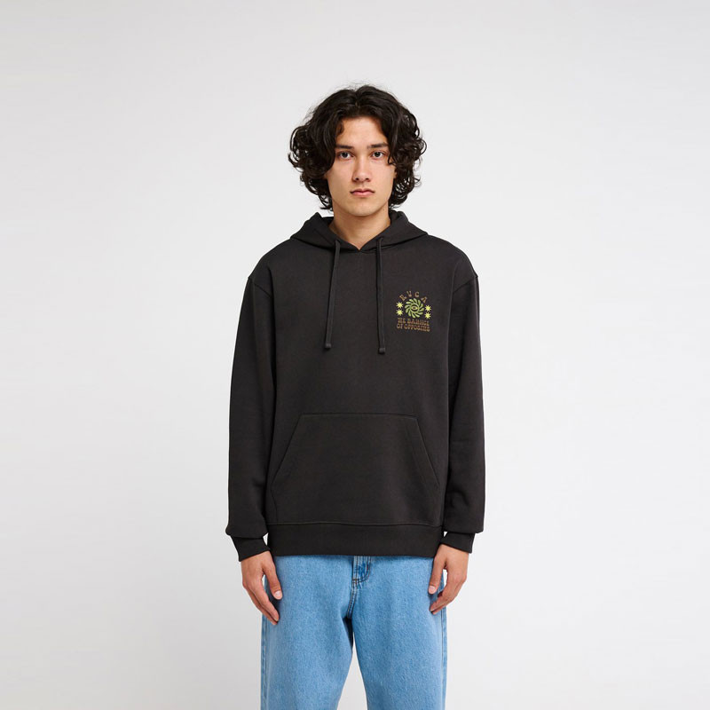 Sudadera RVCA: Iris Hoodie (Washed Black)