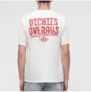 Camiseta Dickies: Chinle Ss Tee (White)