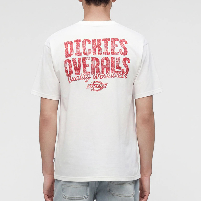 Camiseta Dickies: Chinle Ss Tee (White)