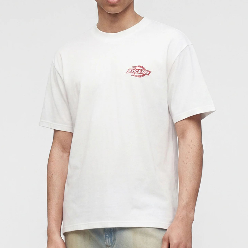 Camiseta Dickies: Chinle Ss Tee (White)