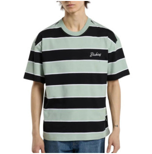 Camiseta Dickies: Embroidery Stripe Ss Tee (Jadeite)