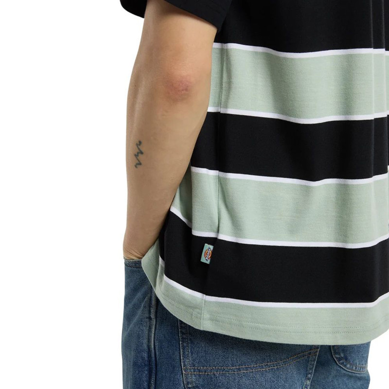 Camiseta Dickies: Embroidery Stripe Ss Tee (Jadeite)