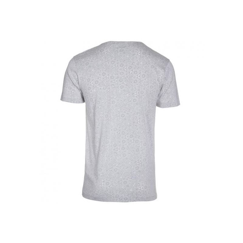 Camiseta Volcom: PARROT SS (PNT)