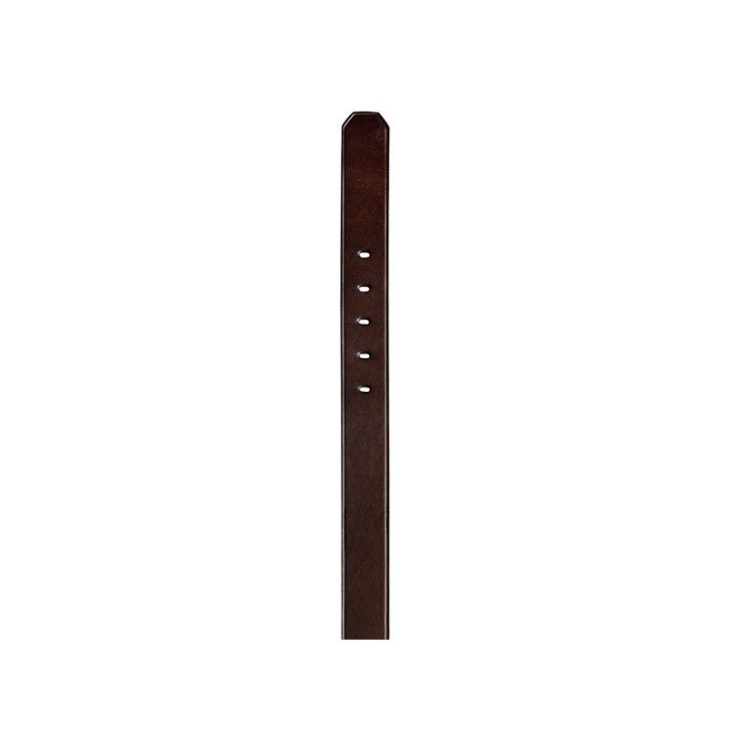Cinturón Quiksilver: THE EVERYDAILY UP (CHOCOLATE)