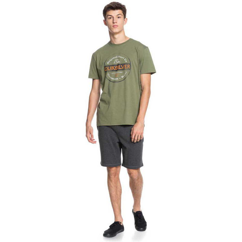 Camiseta Quiksilver: From Days Gone SS (Four Leaf Clover)