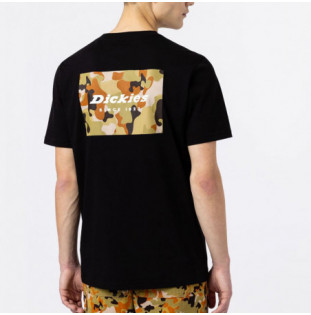 Camiseta Dickies: Artondale Box Tee SS (Black) Dickies - 1