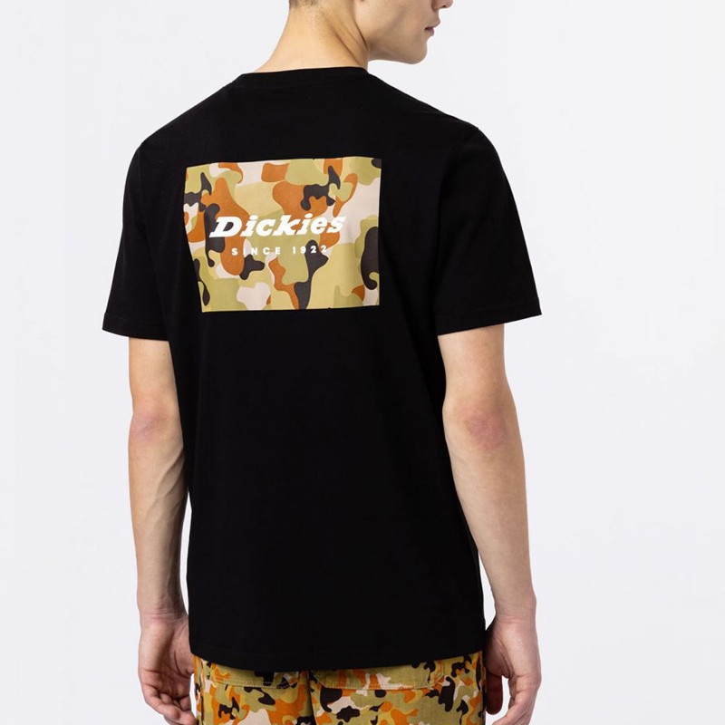 Camiseta Dickies: Artondale Box Tee SS (Black)