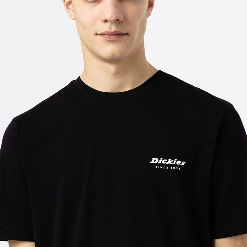 Camiseta Dickies: Artondale Box Tee SS (Black)