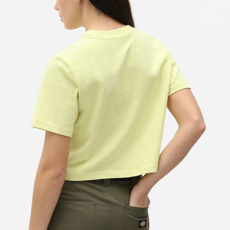 Camiseta Dickies: SS Porterdale Crop W (Mellow Green)