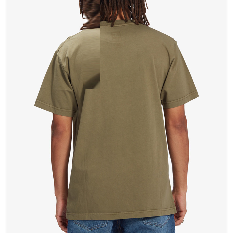 Camiseta DC Shoes: World Movers HSS (Ivy Green Enzyme Wash)