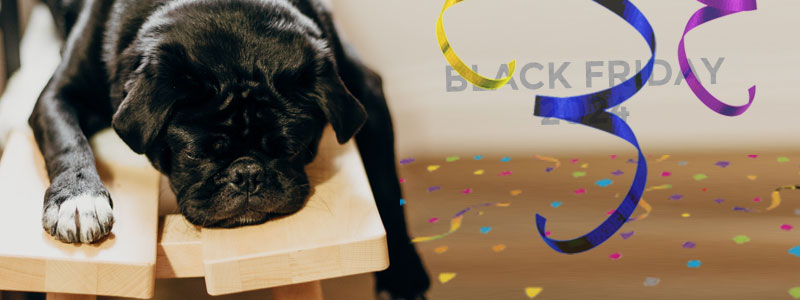 Mr. Black Friday KO tras la celebración