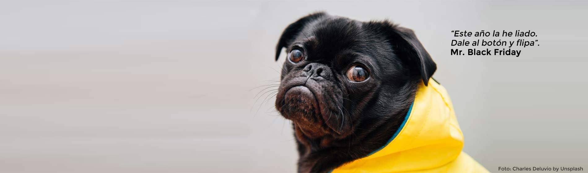 Black Friday 2025: Hasta el 45% dto. en ropa y el 60% dto. en zapatillas. Foto: Charles Deluvio by Unsplash